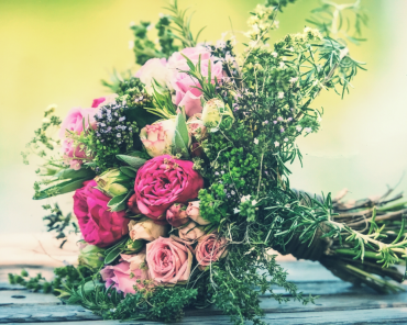 Schnittblumen, Zimmerpflanzen, Blumen für Garten und Balkon, Hochzeitsfloristik, Trauerfloristik und Eventfloristik im Sines Lustenau